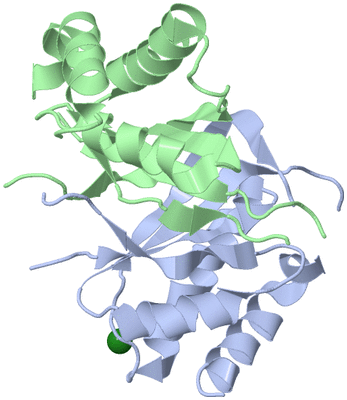 Image Biological Unit 3