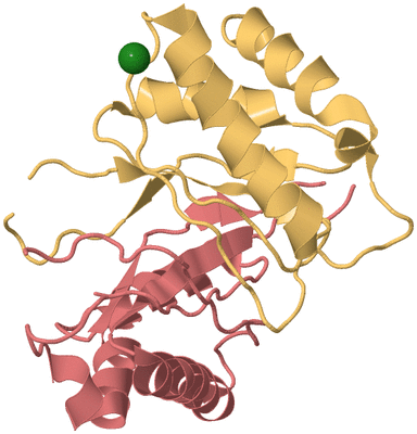 Image Biological Unit 4