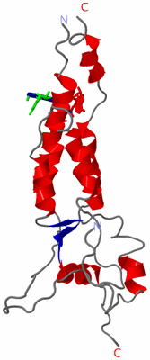 Image Asymmetric Unit