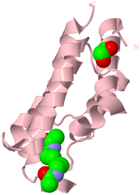 Image Biological Unit 3