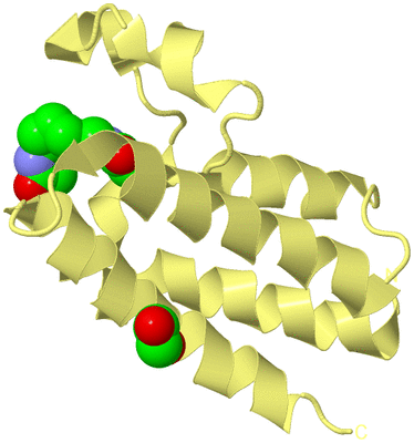 Image Biological Unit 4