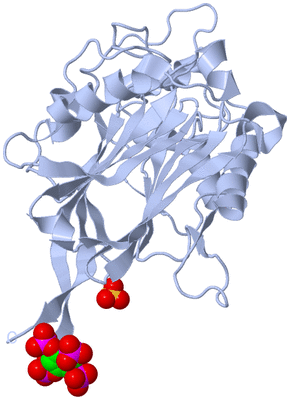 Image Biological Unit 1