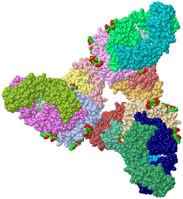 Image Asym./Biol. Unit