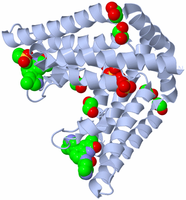 Image Biological Unit 1