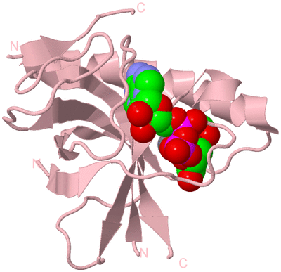 Image Biological Unit 2