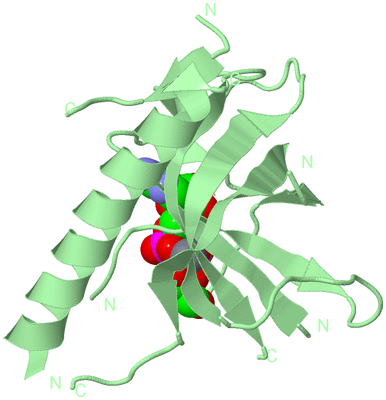 Image Biological Unit 3