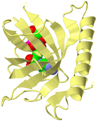 Image Biological Unit 4