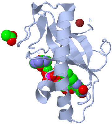 Image Biological Unit 1