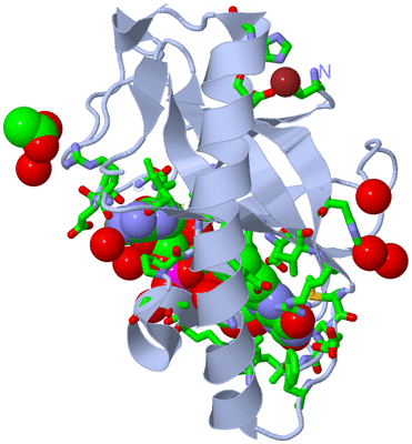 Image Biol. Unit 1 - sites