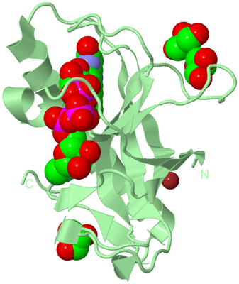 Image Biological Unit 2