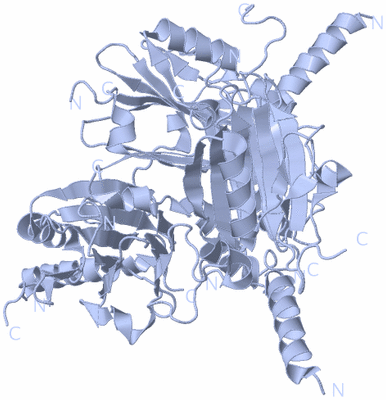 Image Biological Unit 1