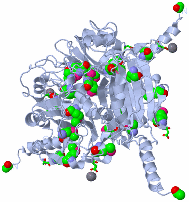 Image Biol. Unit 1 - sites