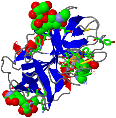 Image Asym./Biol. Unit - sites