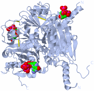 Image Biological Unit 1