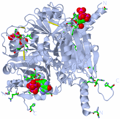 Image Biol. Unit 1 - sites