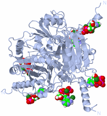 Image Biological Unit 1