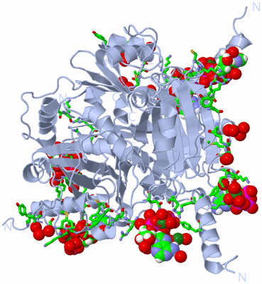 Image Biol. Unit 1 - sites