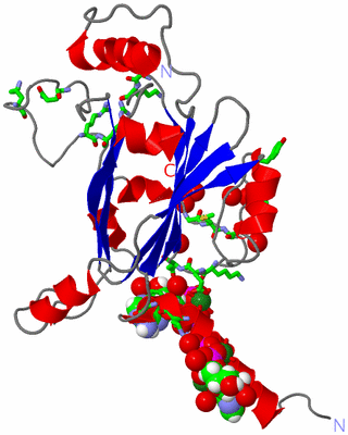 Image Asym. Unit - sites