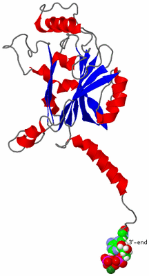 Image Asymmetric Unit