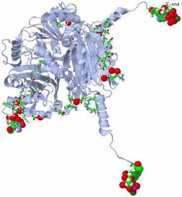 Image Biol. Unit 1 - sites