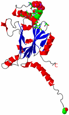 Image Asym. Unit - sites