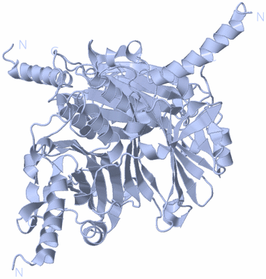 Image Biological Unit 1