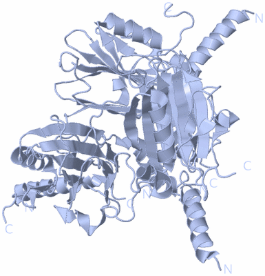 Image Biological Unit 1