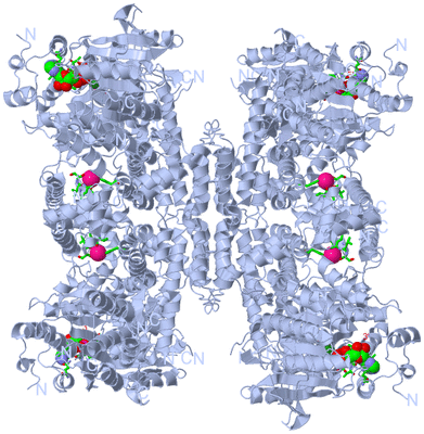 Image Biol. Unit 1 - sites