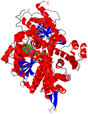 Image Asym. Unit - sites