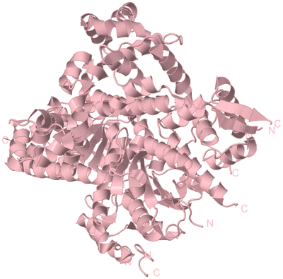 Image Biological Unit 3