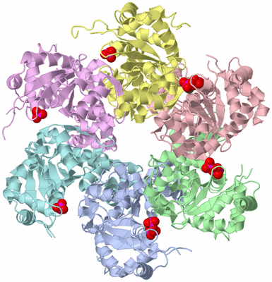 Image Asym./Biol. Unit