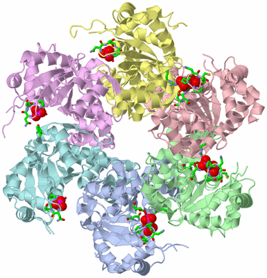 Image Asym./Biol. Unit - sites