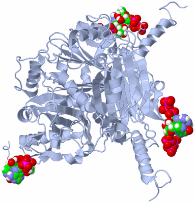 Image Biological Unit 1