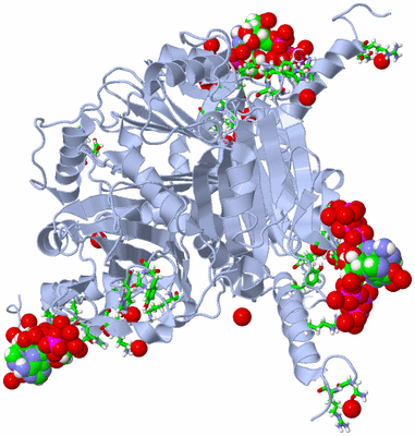 Image Biol. Unit 1 - sites