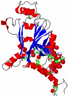 Image Asym. Unit - sites