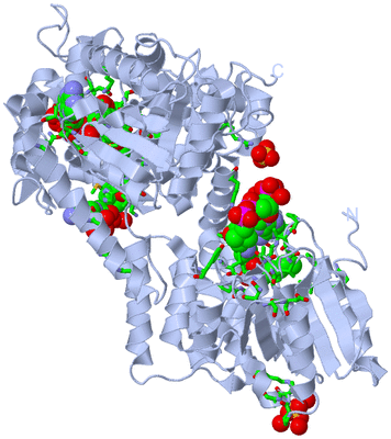 Image Biol. Unit 1 - sites