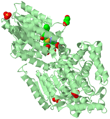 Image Biological Unit 2