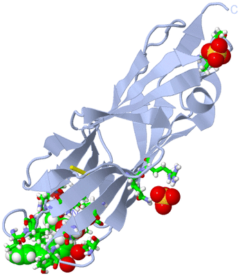 Image Biol. Unit 1 - sites