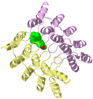 Image Biological Unit 3