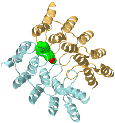 Image Biological Unit 4