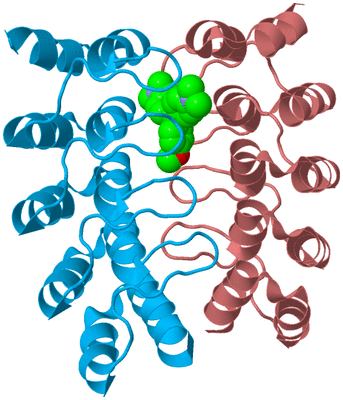 Image Biological Unit 5