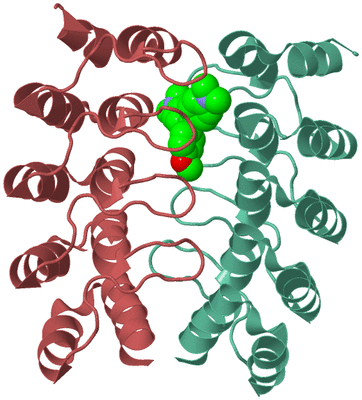 Image Biological Unit 6