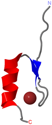 Image NMR Structure - model 1