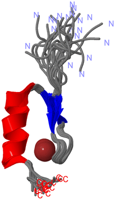 Image NMR Structure - all models