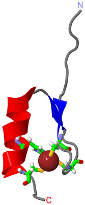 Image NMR Structure - model 1, sites