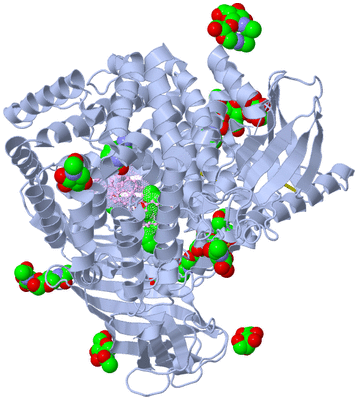 Image Biological Unit 1