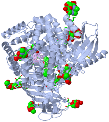 Image Biol. Unit 1 - sites