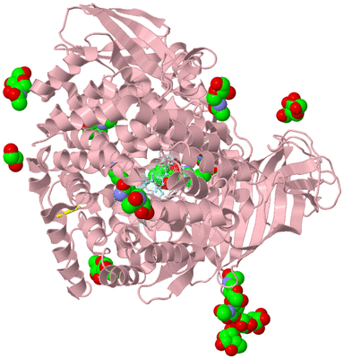 Image Biological Unit 2