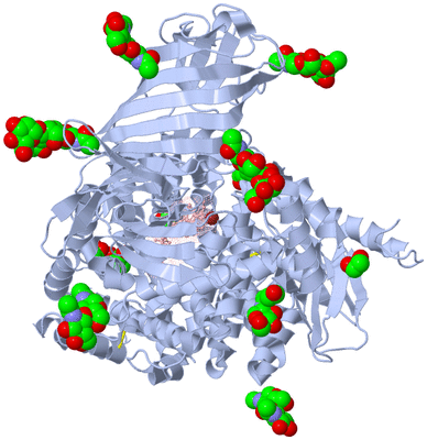 Image Biological Unit 1