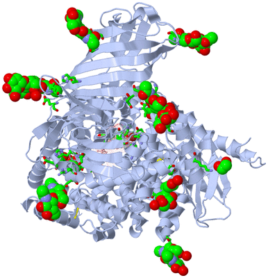 Image Biol. Unit 1 - sites